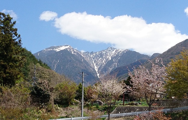 春の山の風景