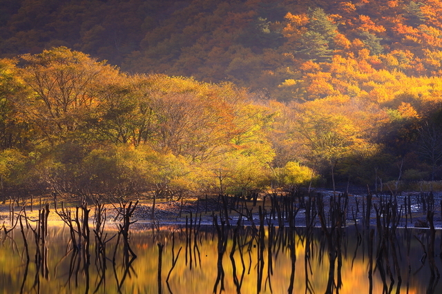 秋の紅葉の頃の山の湖