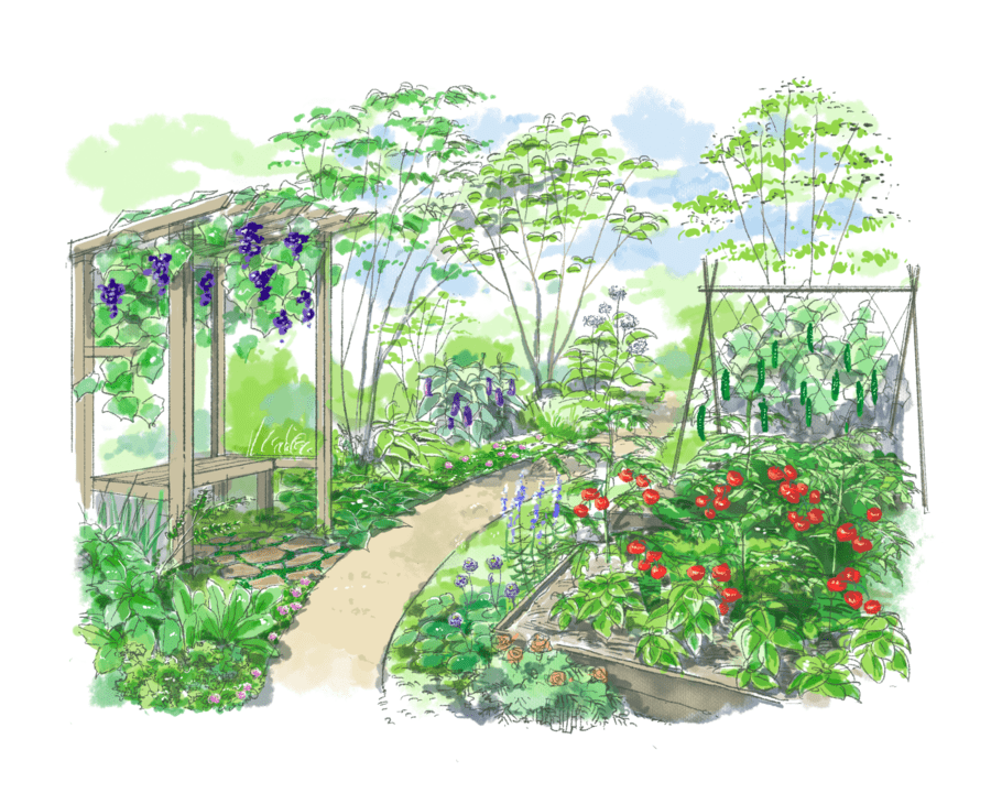 家でも出来る菜園と雑木のポタジェガーデン 菜園のレイアウトも！